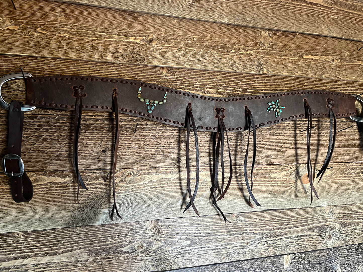 Buffalo Backed