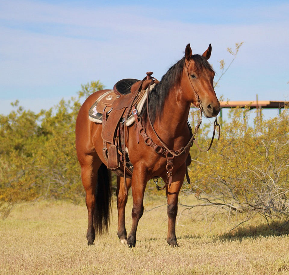 Beautiful Rings Headstall